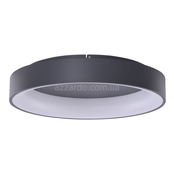 Потолочный светильник Azzardo AZ3995 Smart Solvent R 60